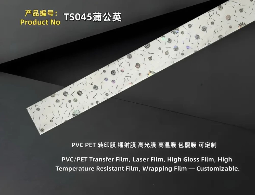 TS045