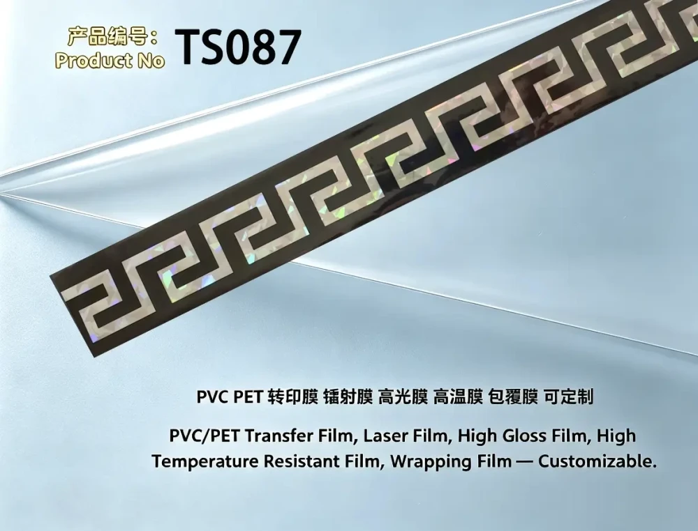 TS087