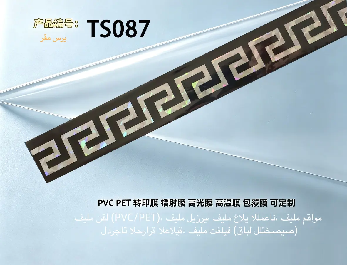 TS087