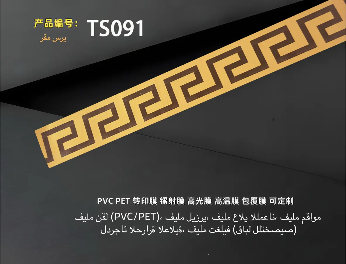 TS091