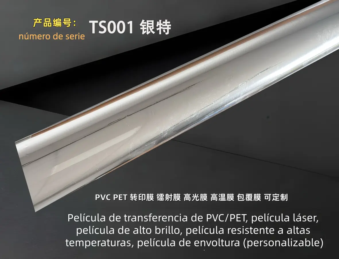 TS001