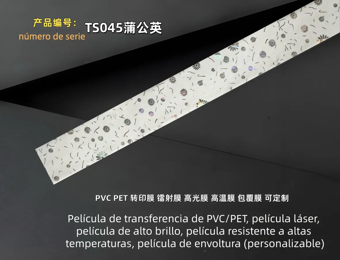 TS045