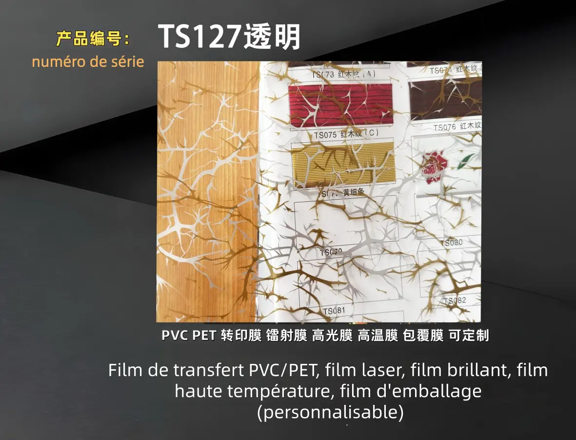 TS127