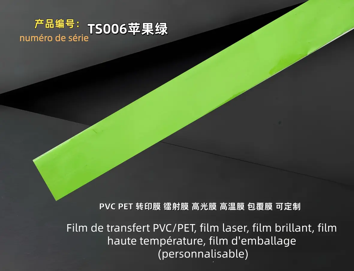 TS006
