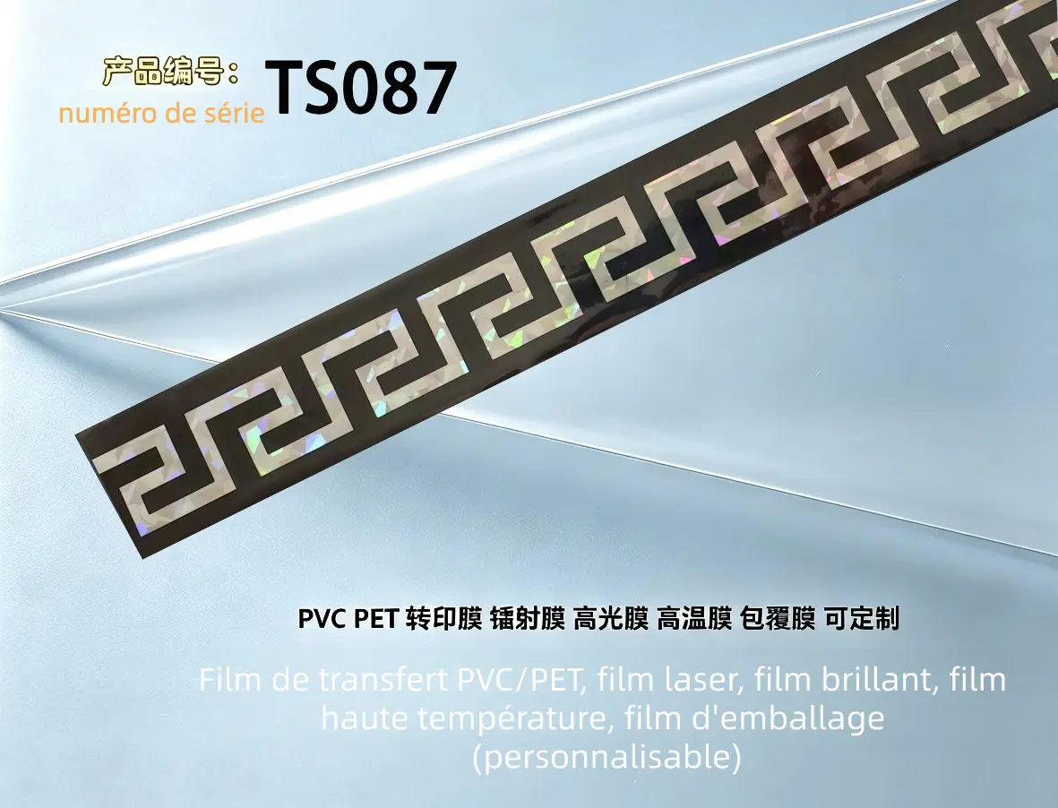 TS087