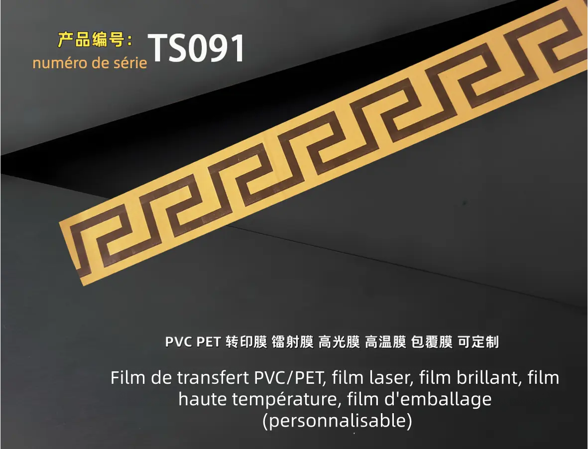 TS091