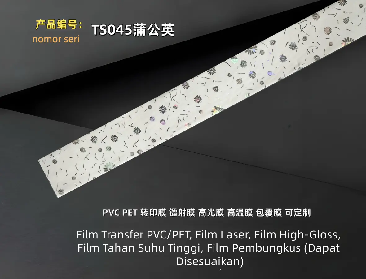 TS045