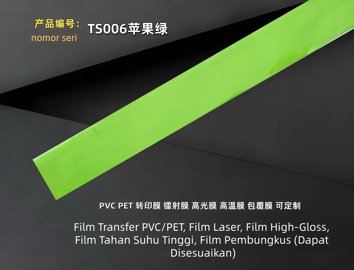TS006