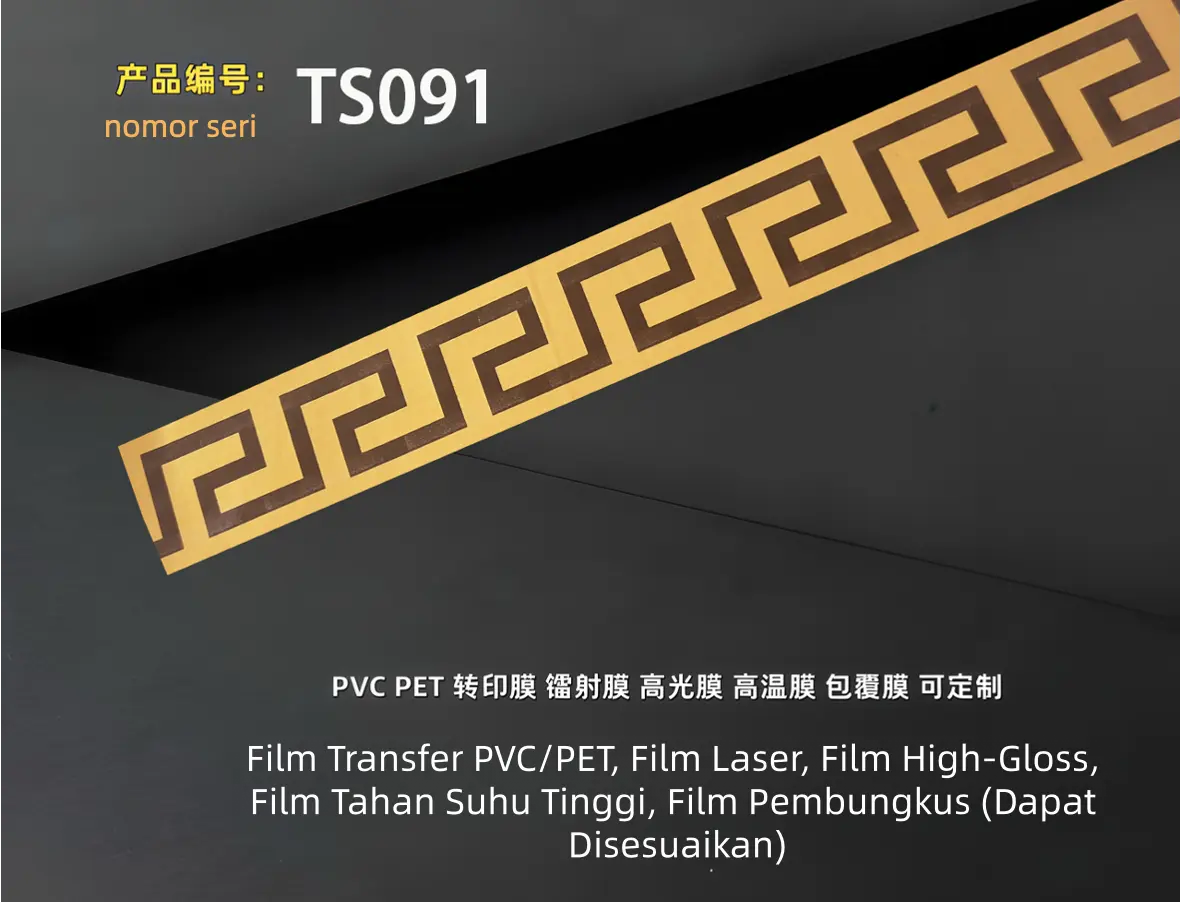 TS091