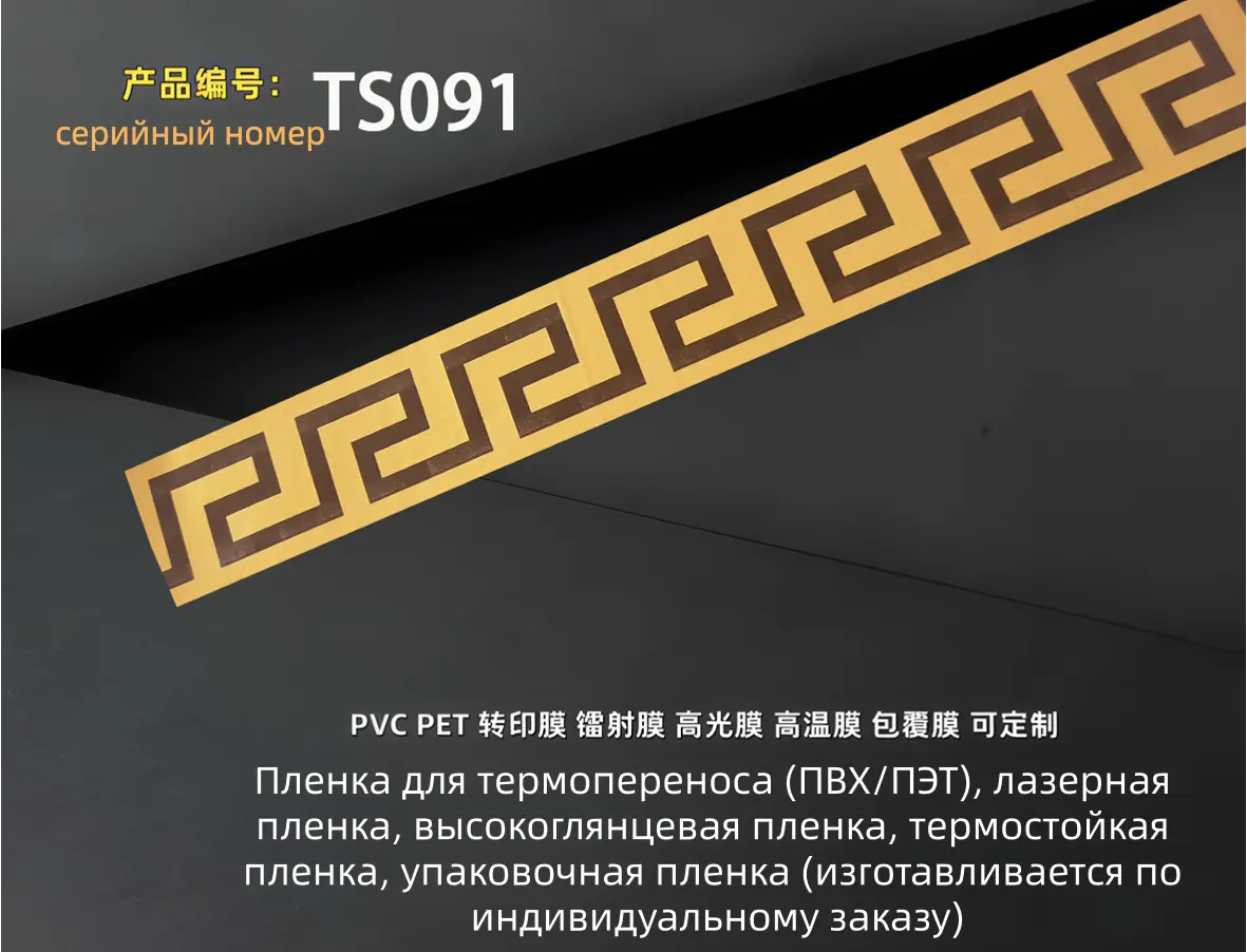 TS091