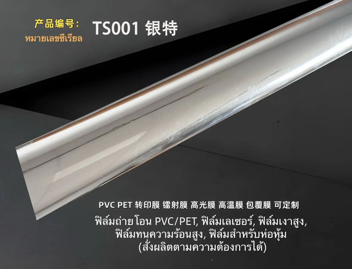 TS001