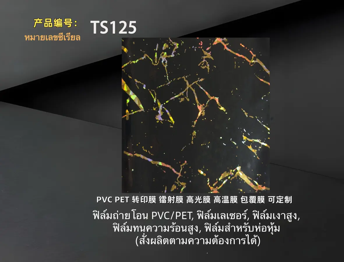 TS125