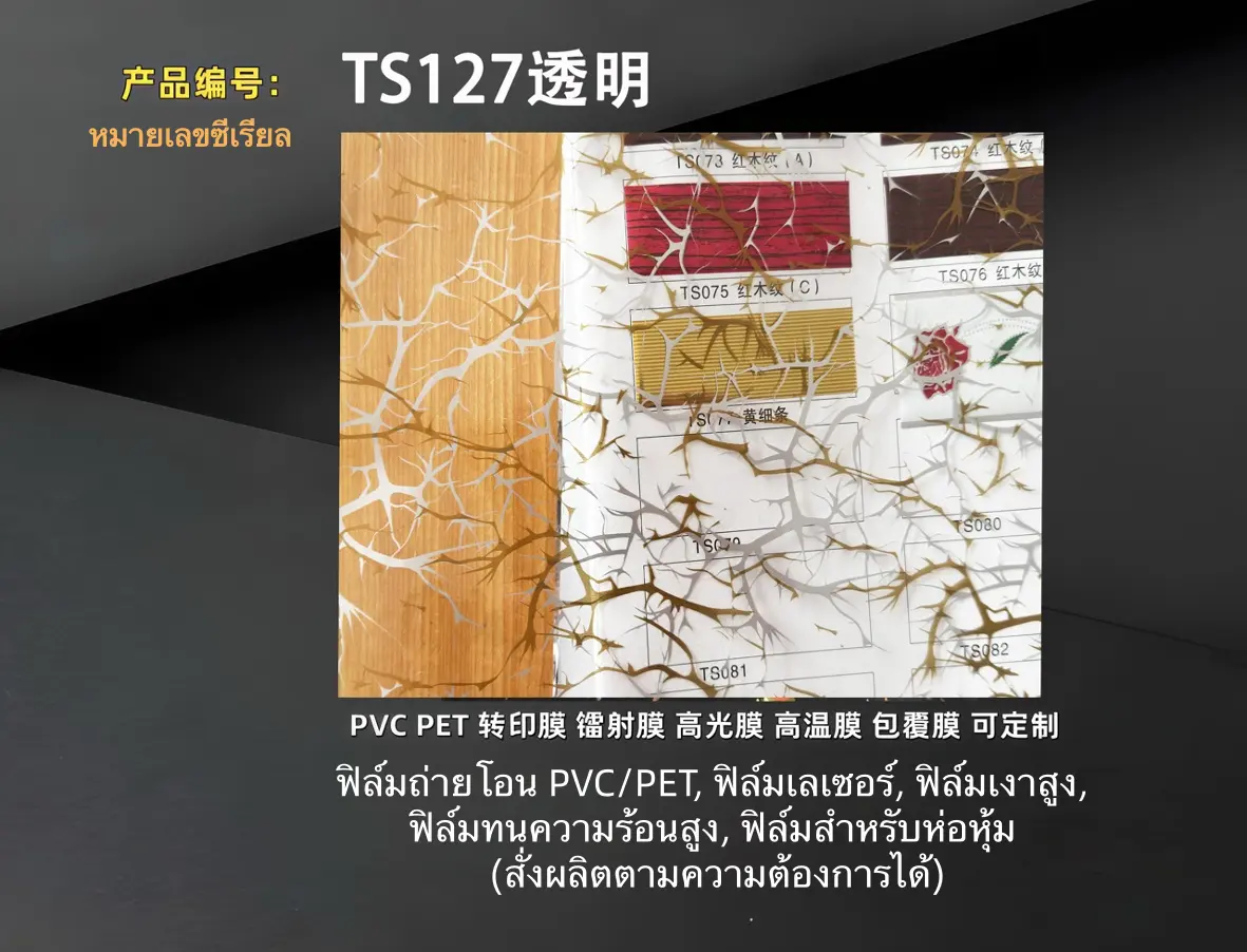 TS127