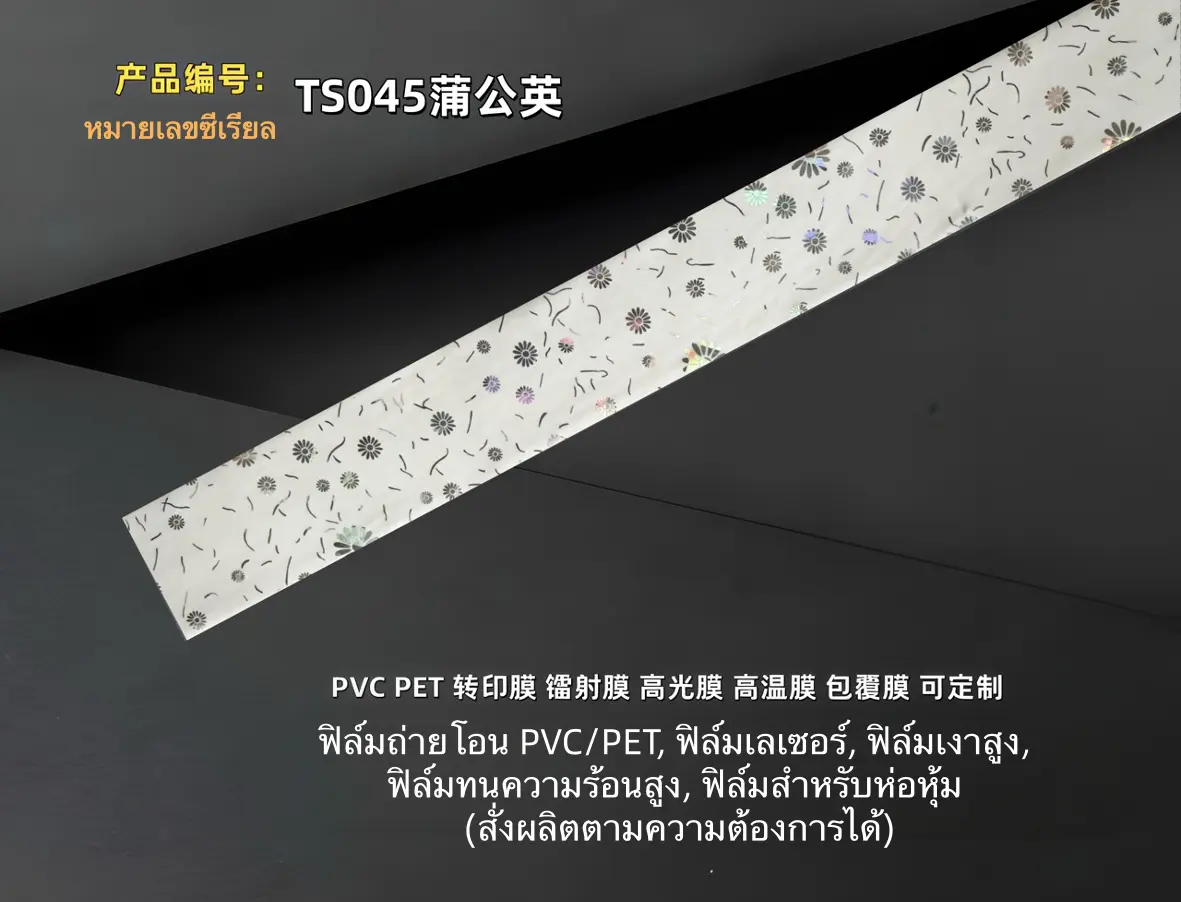 TS045