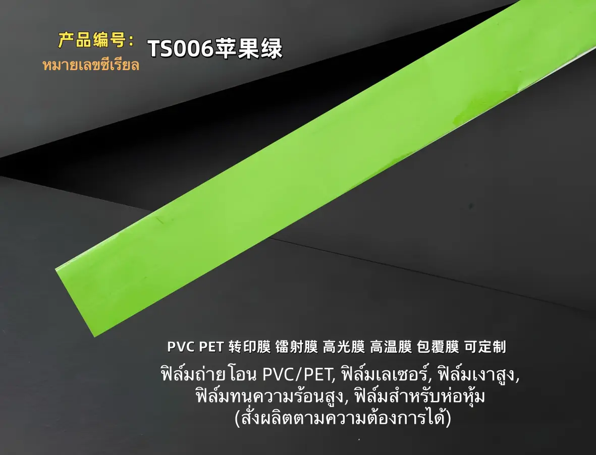 TS006