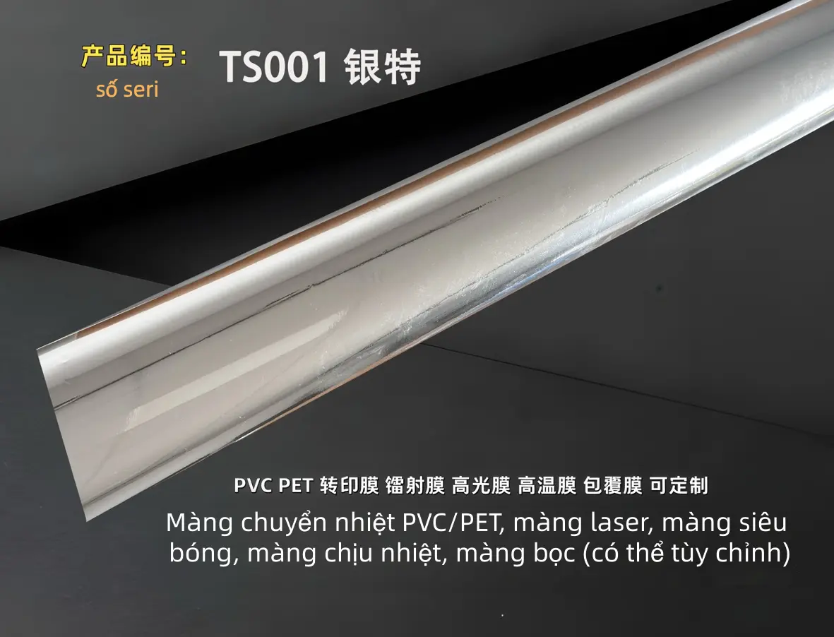 TS001