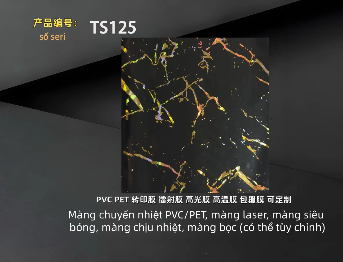 TS125